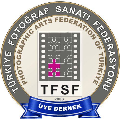 TFSF
